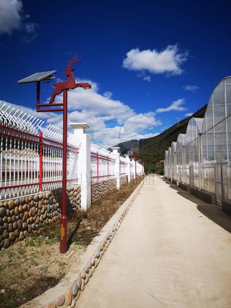 甘孜州白玉县苗木基地项目